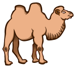 camel - coloured